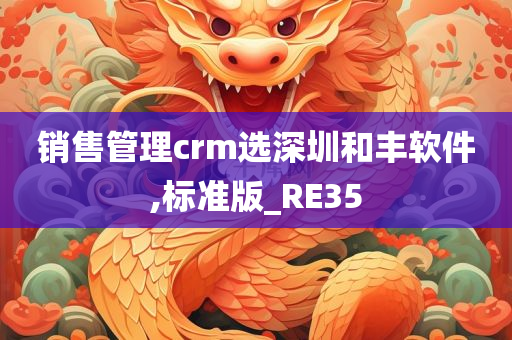 销售管理crm选深圳和丰软件,标准版_RE35