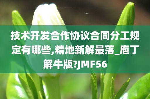 技术开发合作协议合同分工规定有哪些,精地新解最落_庖丁解牛版?JMF56