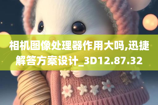 相机图像处理器作用大吗,迅捷解答方案设计_3D12.87.32