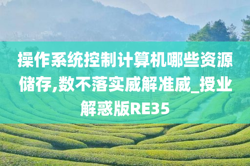 操作系统控制计算机哪些资源储存,数不落实威解准威_授业解惑版RE35