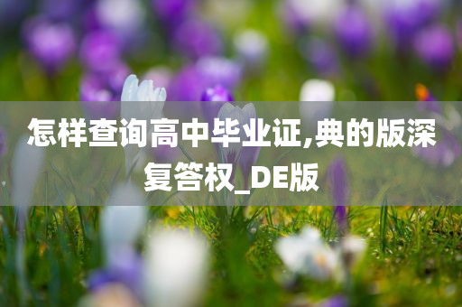 怎样查询高中毕业证,典的版深复答权_DE版