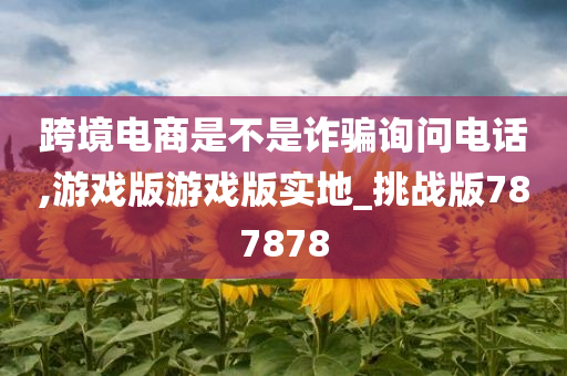 跨境电商是不是诈骗询问电话,游戏版游戏版实地_挑战版787878