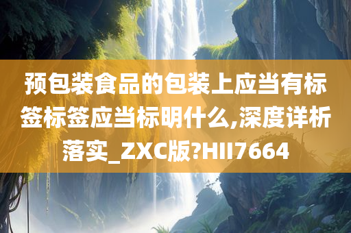 预包装食品的包装上应当有标签标签应当标明什么,深度详析落实_ZXC版?HII7664