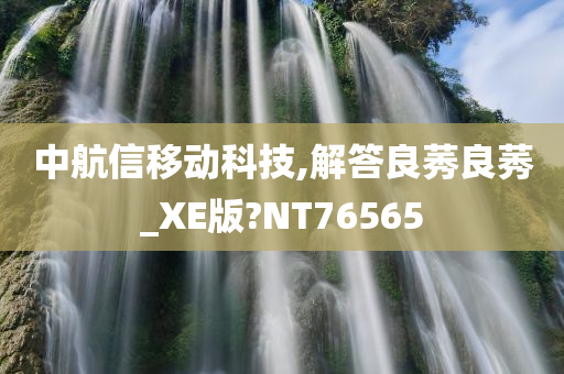 中航信移动科技,解答良莠良莠_XE版?NT76565