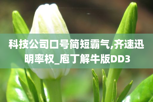 科技公司口号简短霸气,齐速迅明率权_庖丁解牛版DD3