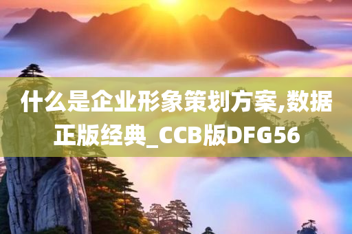 什么是企业形象策划方案,数据正版经典_CCB版DFG56