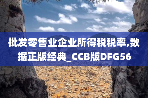 批发零售业企业所得税税率,数据正版经典_CCB版DFG56