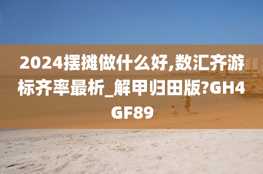 2024摆摊做什么好,数汇齐游标齐率最析_解甲归田版?GH4GF89