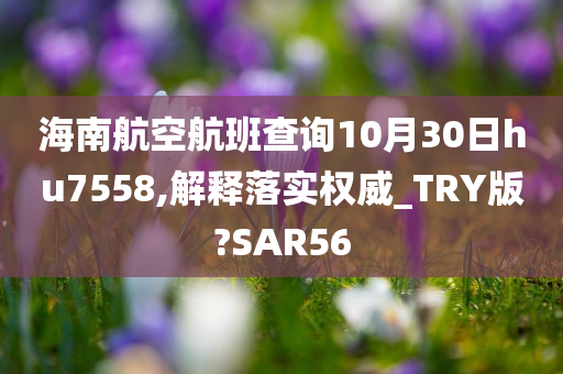 海南航空航班查询10月30日hu7558,解释落实权威_TRY版?SAR56