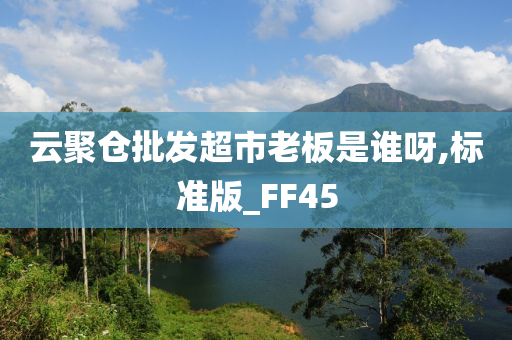 云聚仓批发超市老板是谁呀,标准版_FF45