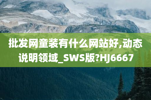 批发网童装有什么网站好,动态说明领域_SWS版?HJ6667