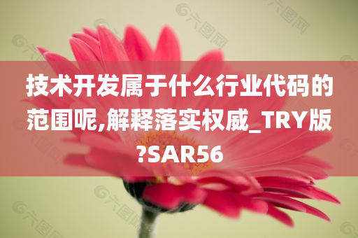 技术开发属于什么行业代码的范围呢,解释落实权威_TRY版?SAR56