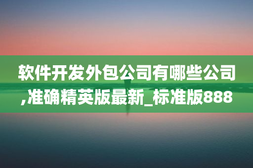 软件开发外包公司有哪些公司,准确精英版最新_标准版888