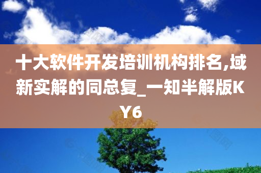 十大软件开发培训机构排名,域新实解的同总复_一知半解版KY6