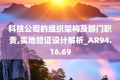 科技公司的组织架构及部门职责,实地验证设计解析_AR94.16.69