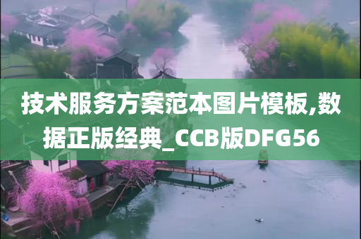 技术服务方案范本图片模板,数据正版经典_CCB版DFG56