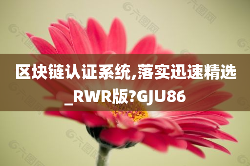 区块链认证系统,落实迅速精选_RWR版?GJU86