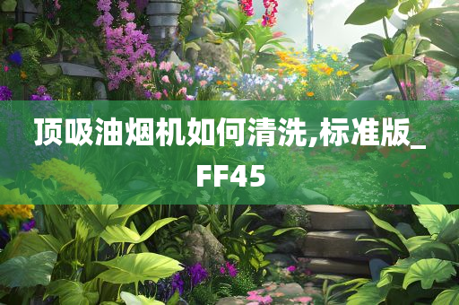 顶吸油烟机如何清洗,标准版_FF45