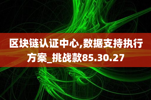 区块链认证中心,数据支持执行方案_挑战款85.30.27