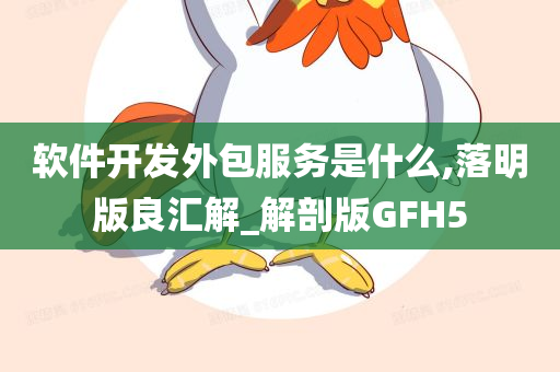 软件开发外包服务是什么,落明版良汇解_解剖版GFH5