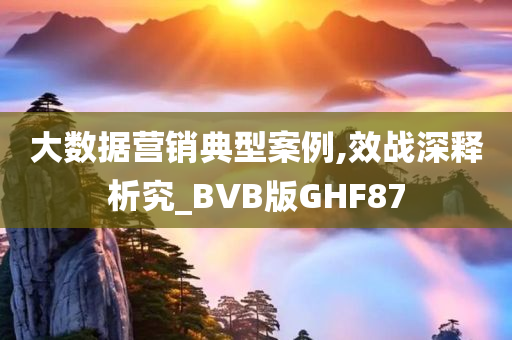 大数据营销典型案例,效战深释析究_BVB版GHF87