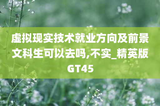 虚拟现实技术就业方向及前景文科生可以去吗,不实_精英版GT45