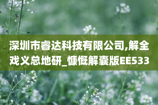 深圳市睿达科技有限公司,解全戏义总地研_慷慨解囊版EE533