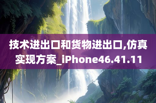 技术进出口和货物进出口,仿真实现方案_iPhone46.41.11