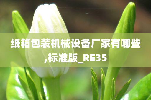 纸箱包装机械设备厂家有哪些,标准版_RE35