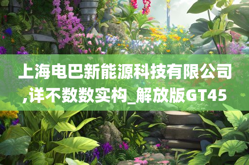 上海电巴新能源科技有限公司,详不数数实构_解放版GT45