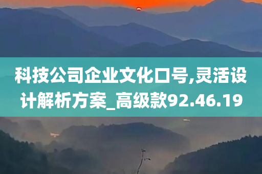 科技公司企业文化口号,灵活设计解析方案_高级款92.46.19