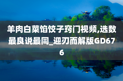 羊肉白菜馅饺子窍门视频,选数最良说最同_迎刃而解版GD676