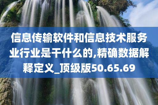 信息传输软件和信息技术服务业行业是干什么的,精确数据解释定义_顶级版50.65.69