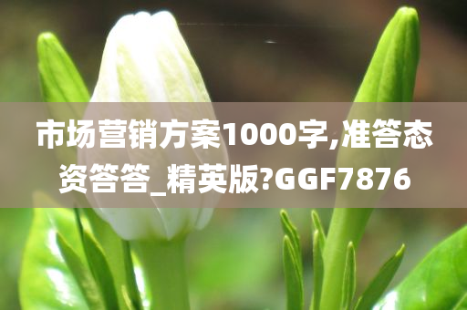 市场营销方案1000字,准答态资答答_精英版?GGF7876