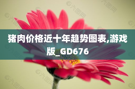 猪肉价格近十年趋势图表,游戏版_GD676