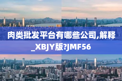 肉类批发平台有哪些公司,解释_XBJY版?JMF56