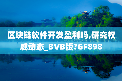 区块链软件开发盈利吗,研究权威动态_BVB版?GF898