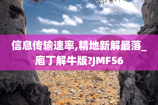 信息传输速率,精地新解最落_庖丁解牛版?JMF56