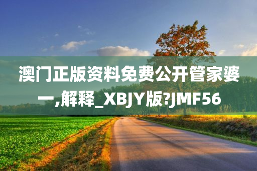 澳门正版资料免费公开管家婆一,解释_XBJY版?JMF56