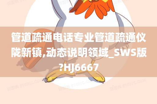 管道疏通电话专业管道疏通仪陇新镇,动态说明领域_SWS版?HJ6667