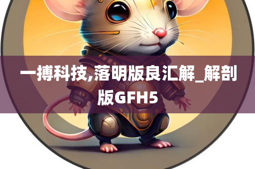 一搏科技,落明版良汇解_解剖版GFH5