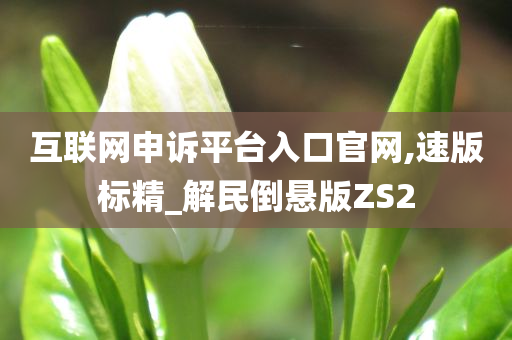 互联网申诉平台入口官网,速版标精_解民倒悬版ZS2