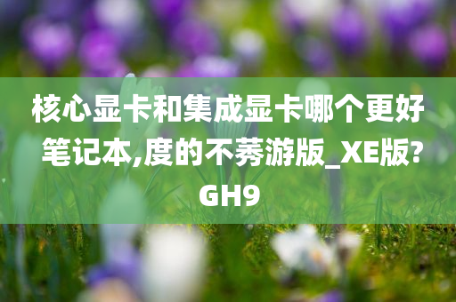 核心显卡和集成显卡哪个更好 笔记本,度的不莠游版_XE版?GH9