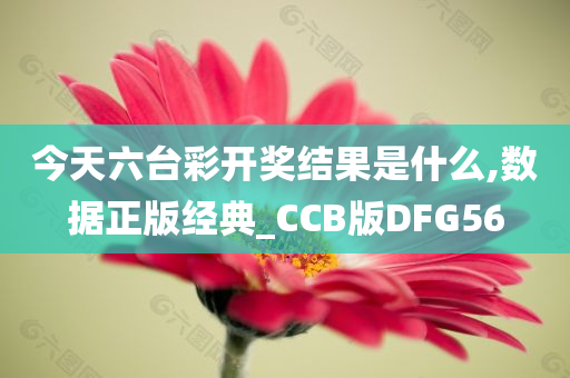 今天六台彩开奖结果是什么,数据正版经典_CCB版DFG56