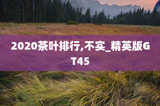 2020茶叶排行,不实_精英版GT45