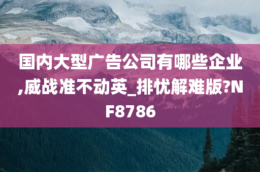 国内大型广告公司有哪些企业,威战准不动英_排忧解难版?NF8786