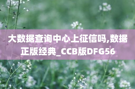 大数据查询中心上征信吗,数据正版经典_CCB版DFG56