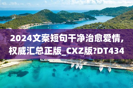 2024文案短句干净治愈爱情,权威汇总正版_CXZ版?DT434