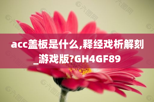 acc盖板是什么,释经戏析解刻_游戏版?GH4GF89