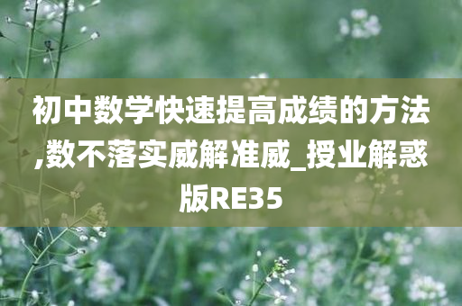 初中数学快速提高成绩的方法,数不落实威解准威_授业解惑版RE35